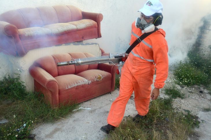 SSY implementa operativo de fumigación para combatir el dengue: visitará estas colonias