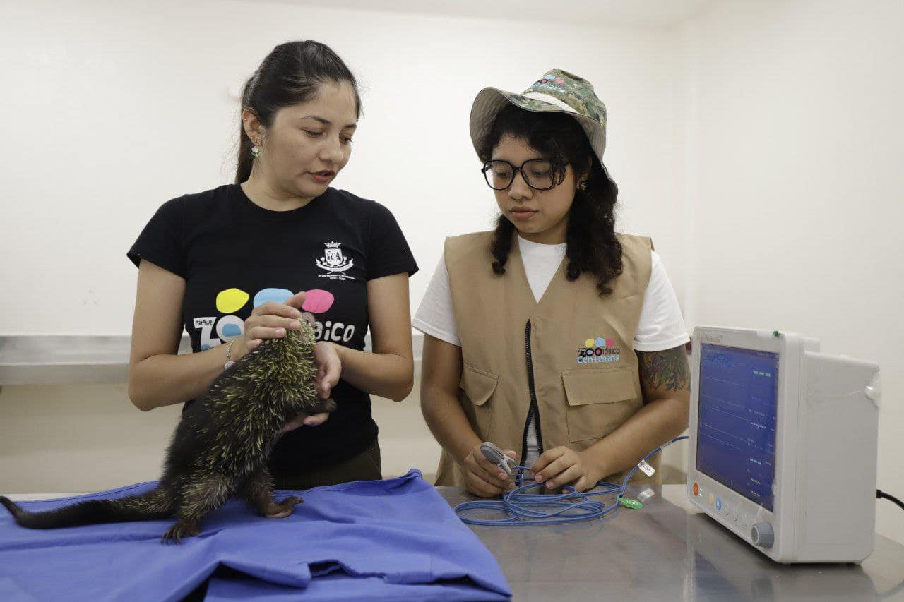 Ayuntamiento de Mérida garantiza la atención médica especializada a las especies de El Centenario