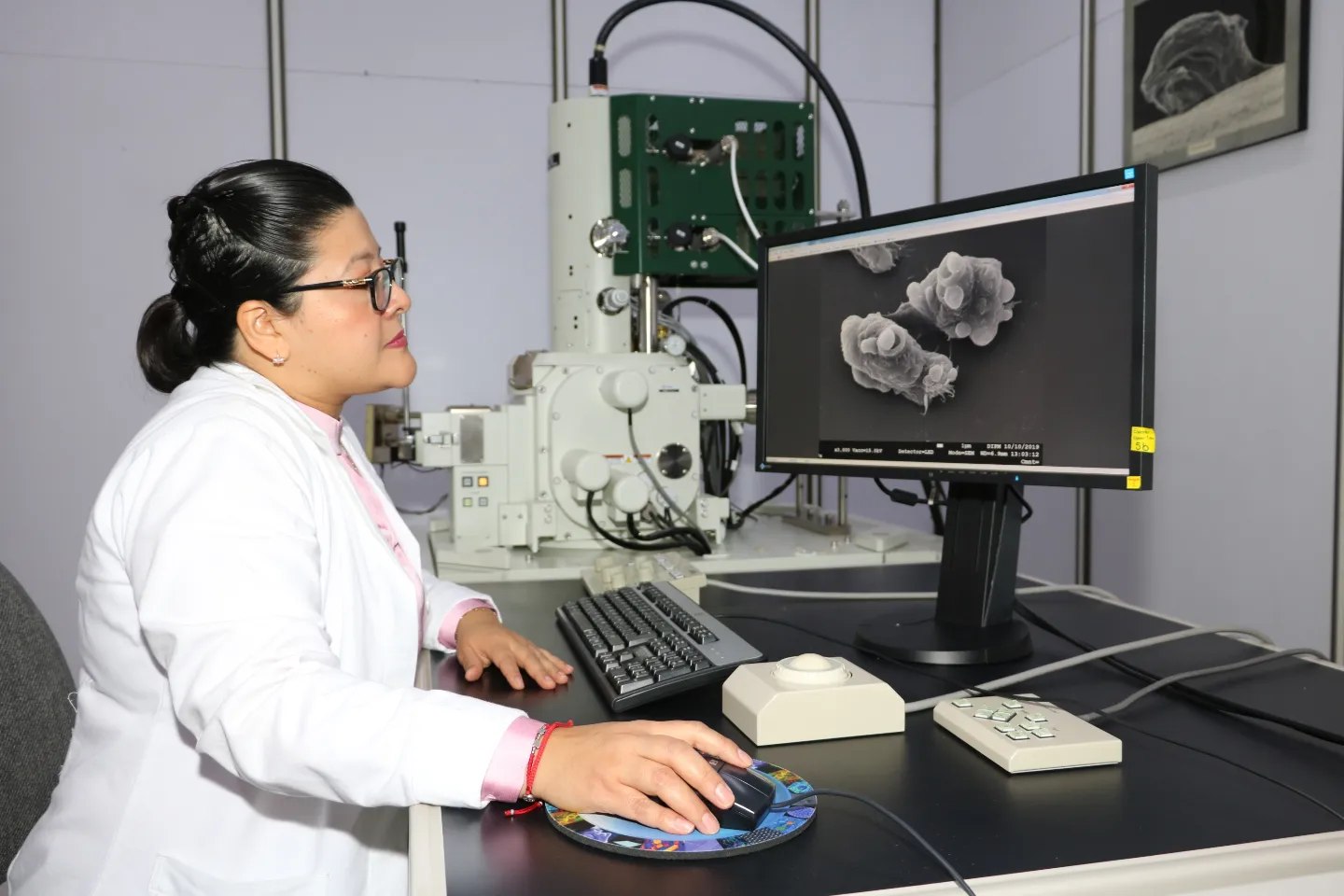 Sólo el 3 por ciento de las mujeres eligen carreras relacionadas a las TICs: estudio