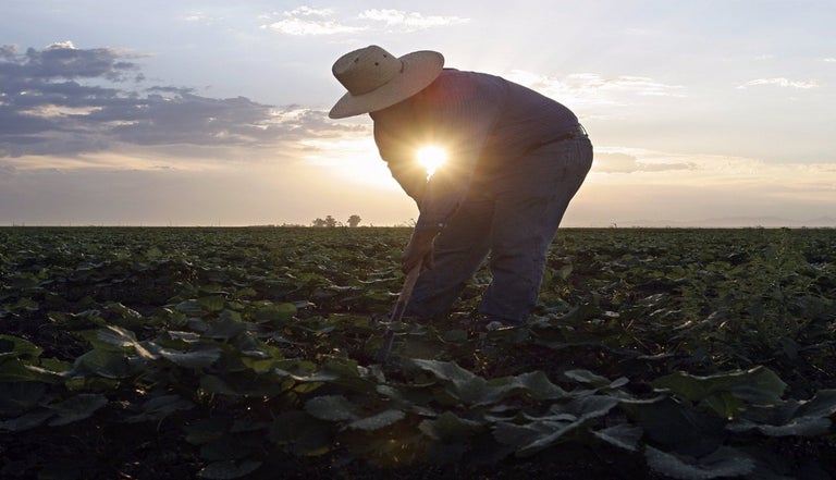 Varios países participan en congreso de agronegocios de la UADY 