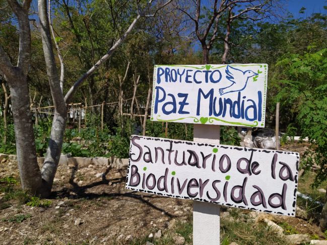Ecoemprendedoras de la Tierra, un proyecto de huertos comunitarios en Las Américas