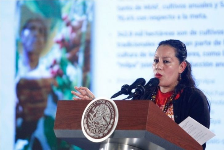 Comienza traslado de la Semarnat a Mérida