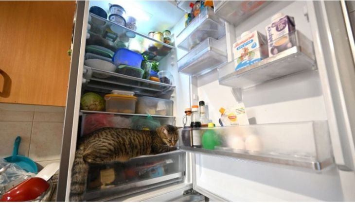 Piden apoyo a CFE para restituir aparatos electrónicos que se quemaron por apagón