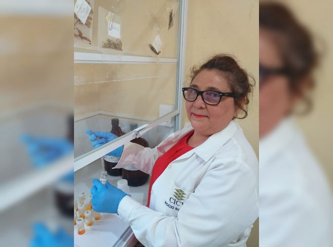 Las plantas son fuente de vida, llenas de propiedades que alivian enfermedades