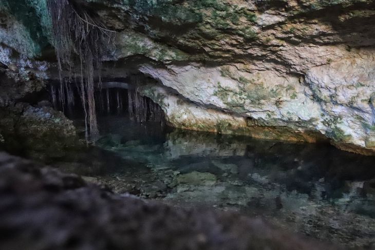 Existe proyecto para crear parques arqueológicos subacuáticos en Yucatán: SAS