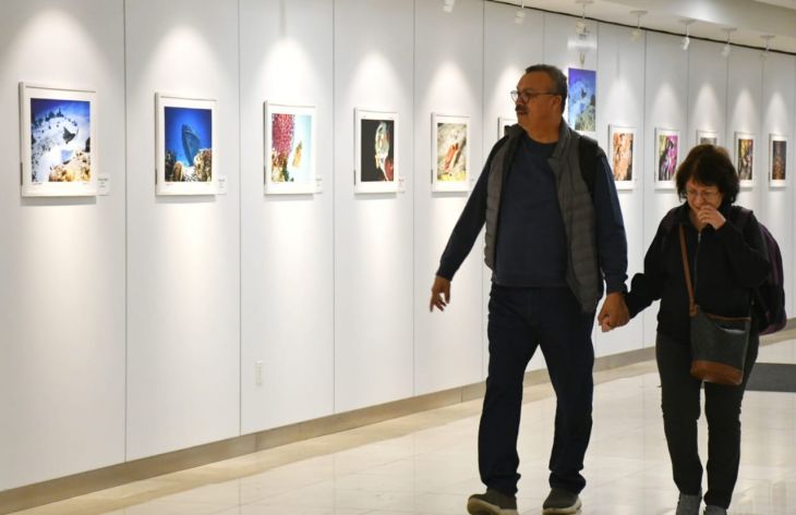 Buzos comparten ‘Secretos del fondo del mar’ en el aeropuerto de Mérida