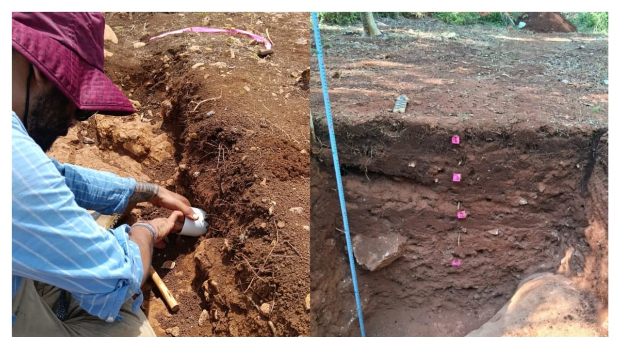 Antiguos mayas diseñaban sus viviendas para aprovechar el agua y cultivar: INAH