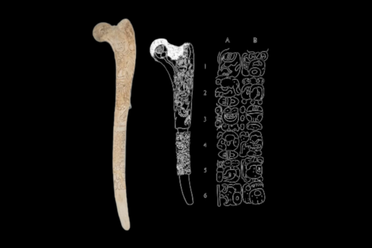 Museo de Sitio expondrá ajuar funerario del señor de Dzibilchaltún