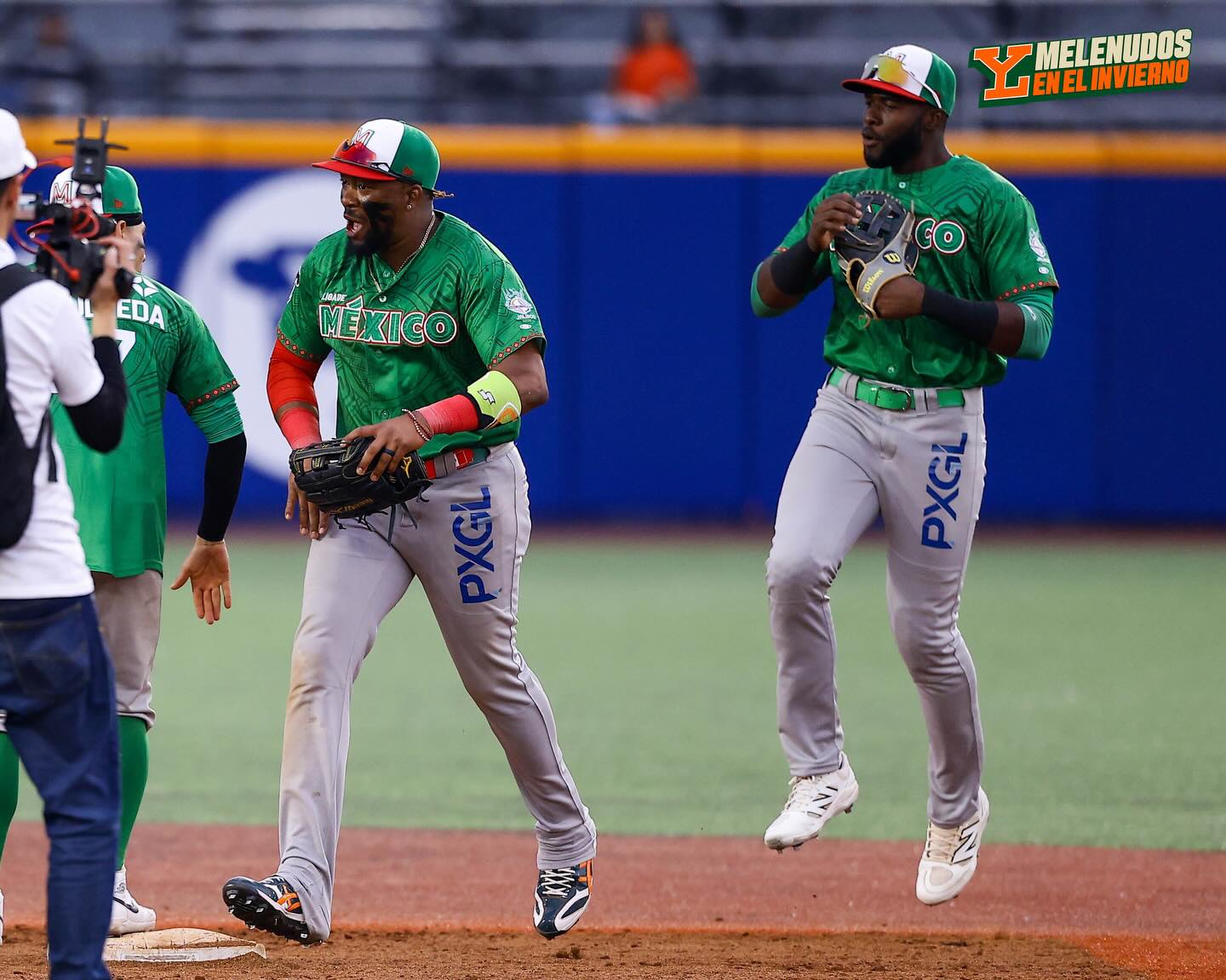 El outfield se mantendría como una fortaleza de los Leones de Yucatán; cuenta con talento y experiencia