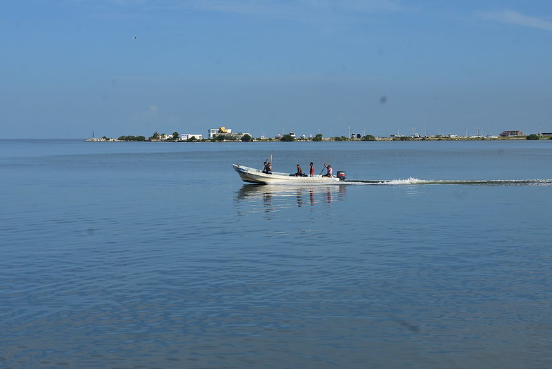 Personas del mar solicitan un alto a la pesca furtiva en Yucatán