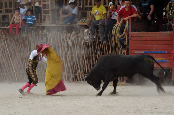 Toreros yucatecos solicitan ser tomados en cuenta en corridas de la Plaza Mérida