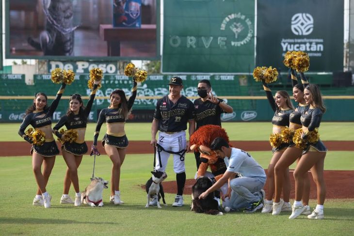 La Jornada Maya | Yucatán | La Jornada Maya | Más de mil mascotas gozaron  el juego de Leones de Yucatán este domingo