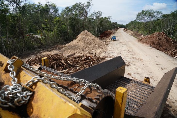 Polos de desarrollo del Tren Maya, preocupante para el medio ambiente