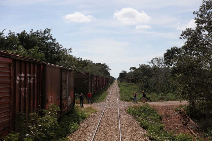 Paso del Tren Maya por Yucatán presenta menor impacto ambiental por vías prexistentes: Profepa