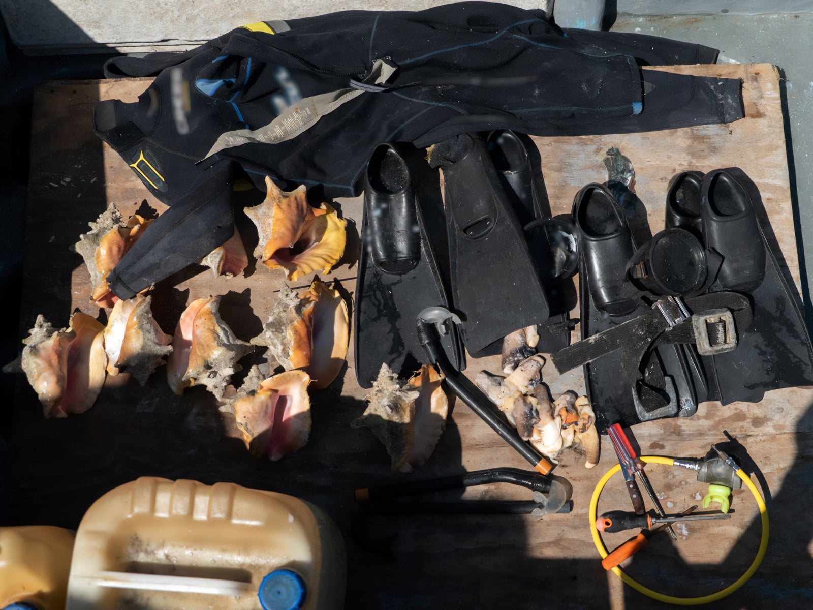 Detienen a tres personas por pesca ilegal de caracol rosado en el Arrecife Alacranes, en Yucatán