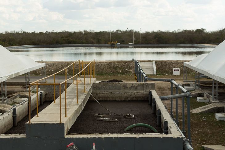 Piden revisar micro, pequeñas y medianas granjas porcícolas de Yucatán