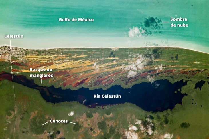 La Jornada Maya | Yucatán | Astrid Sánchez | Capturan los cenotes de ...