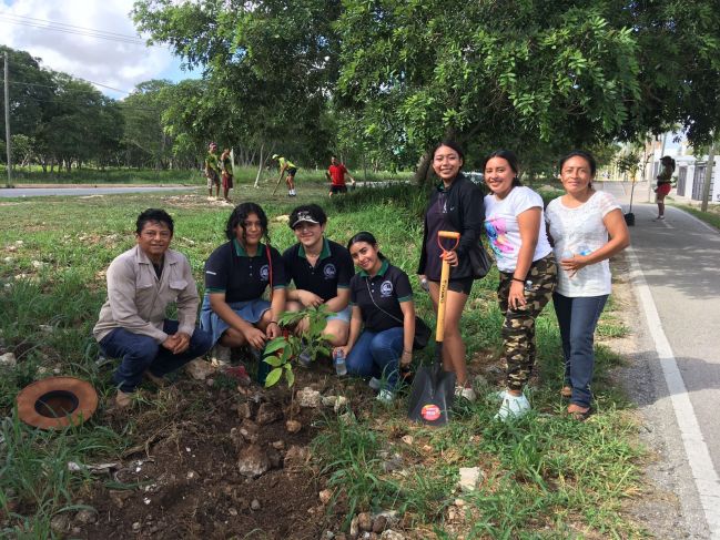 La Jornada Maya Yucat N Astrid S Nchez Vecinos De Conkal Se Unen Para Reforestar Con M S