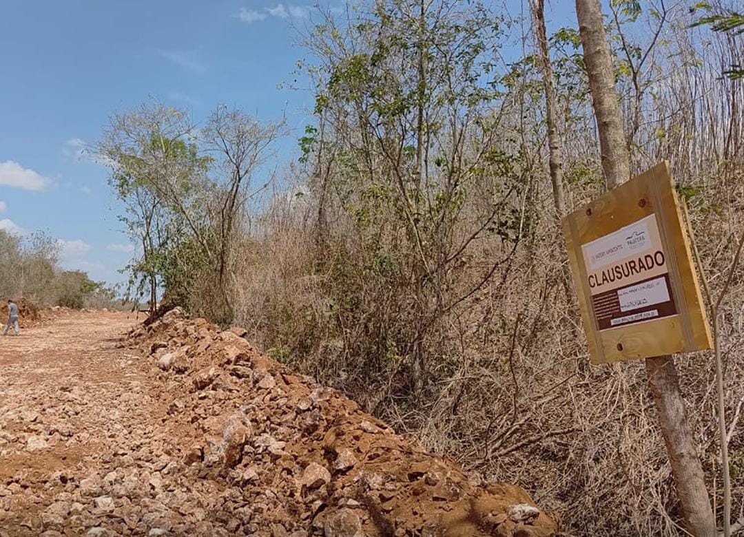 Profepa verifica con el Ayuntamiento de Mérida afectaciones a la Reserva Ecológica Cuxtal 