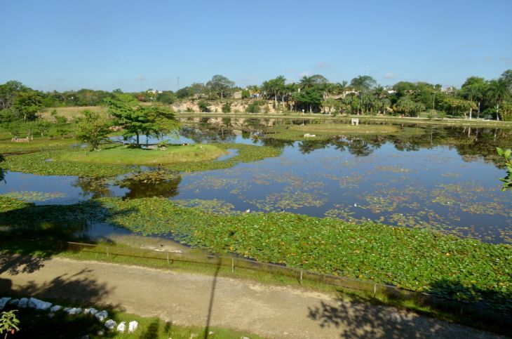 Mérida se une al Día Mundial de las Aves Migratorias
