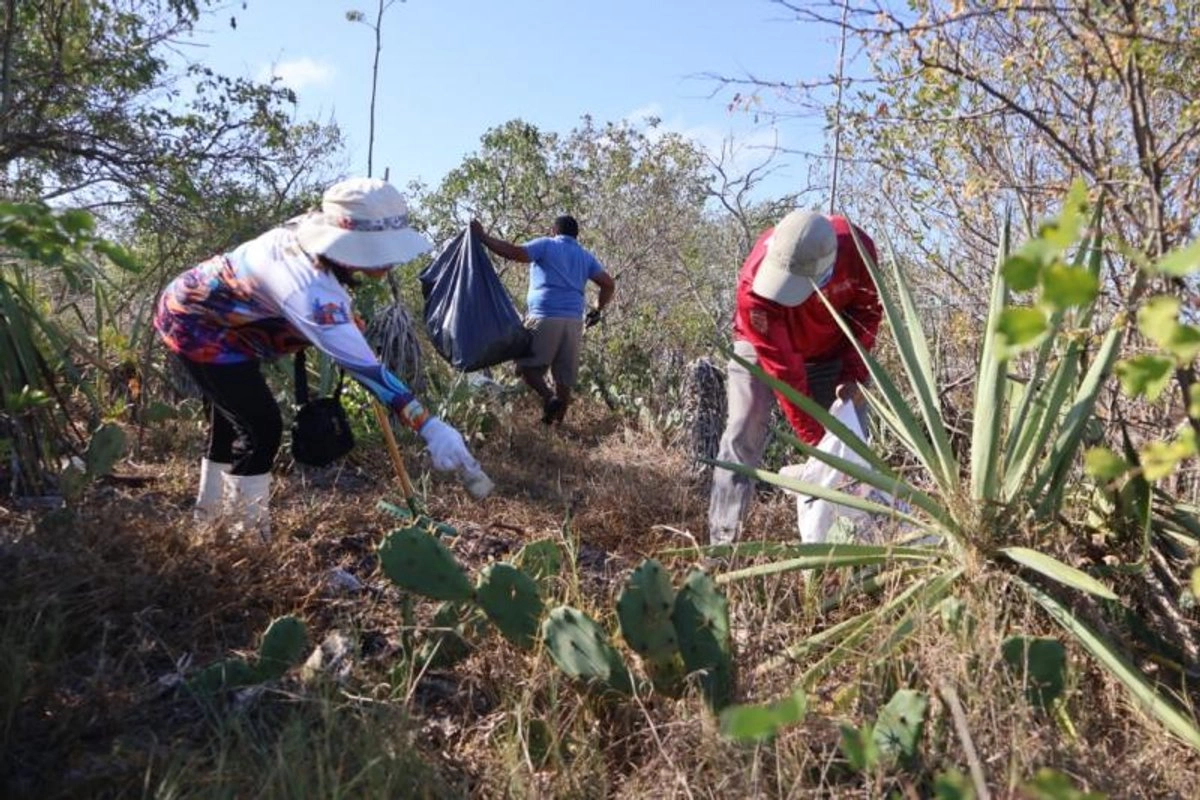 Brigadas de Yucatán y Campeche retiran casi una tonelada de basura en playa de Celestún