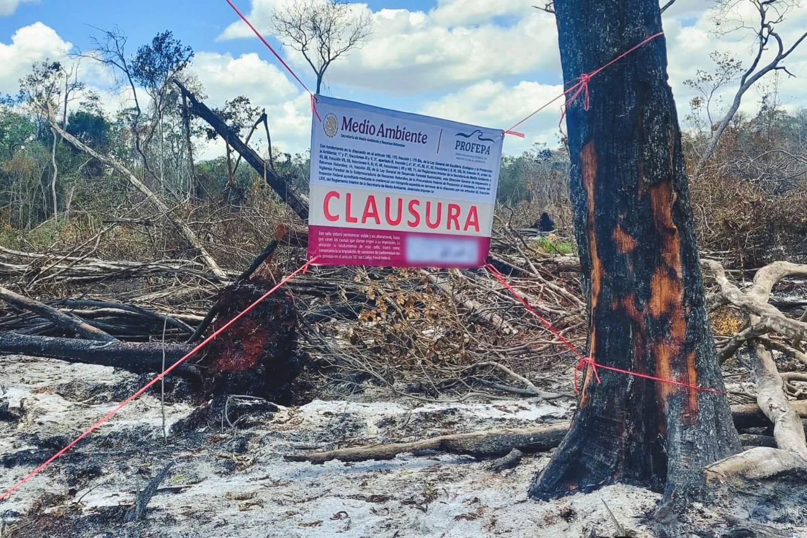 Clausuran predio en Hopelchén por devastación de selva y cambio ilegal de uso de suelo