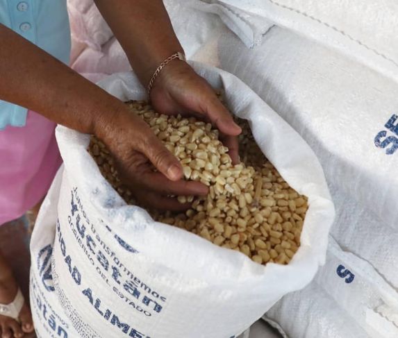 Vila Dosal entrega apoyos alimenticios en Calotmul