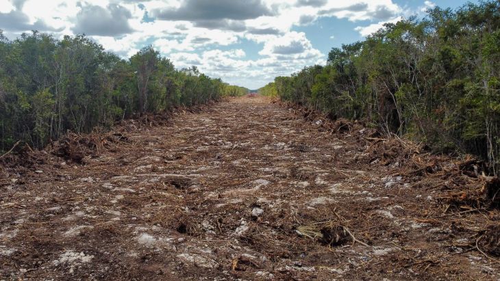 Tribunal quita suspensiones al tren maya con ''argumentos ilegales'': activistas