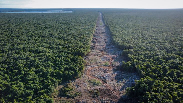 Conoce el Programa de Ordenamiento Territorial del Sur-Sureste por la llegada del Tren Maya 