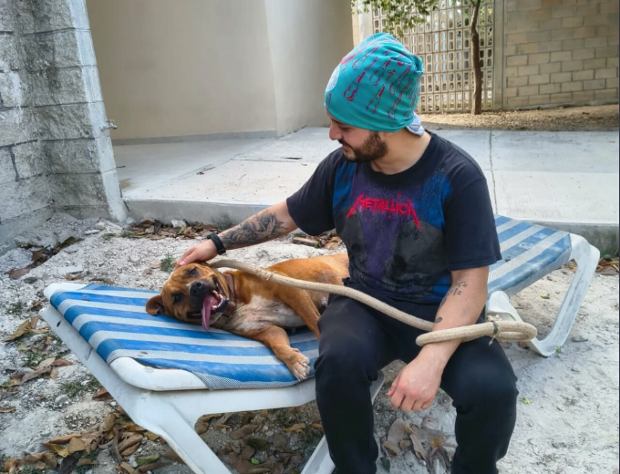 Estefanía Mercado firma iniciativa para sancionar el maltrato animal en Playa del Carmen