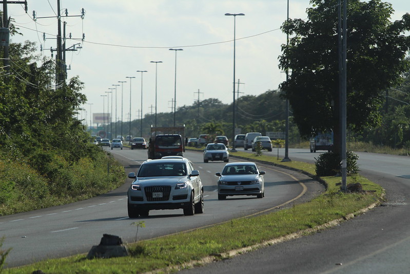 Solicita Congreso de QRoo agilizar trabajos del tramo 5 norte del Tren Maya