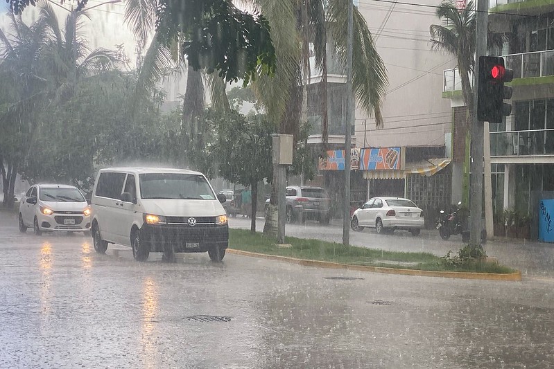 La Jornada Maya | Quintana Roo