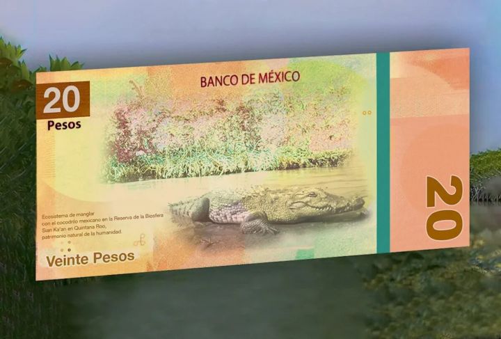 La Jornada Maya | Quintana Roo | Miguel Améndola | Celebran inclusión de Sian  Ka´an en billete de 20 pesos