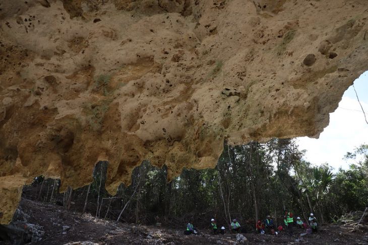 Por ecocidio, demandan a empresas constructoras del tramo 5 del Tren Maya