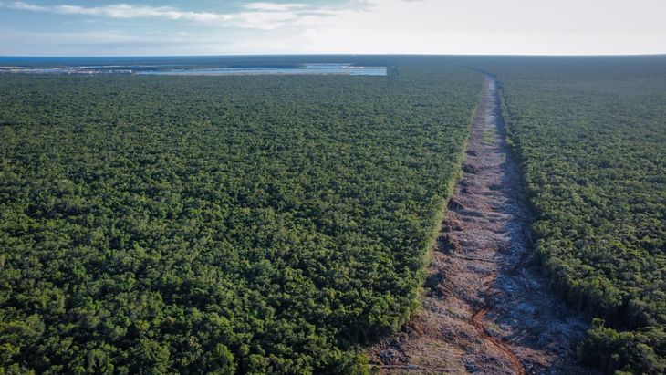 Expropia Federación 10 predios más en QRoo para el Tren Maya