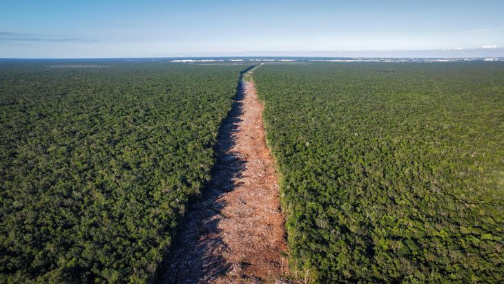 Publica Semarnat la MIA autorizada al tramo 6 del Tren Maya