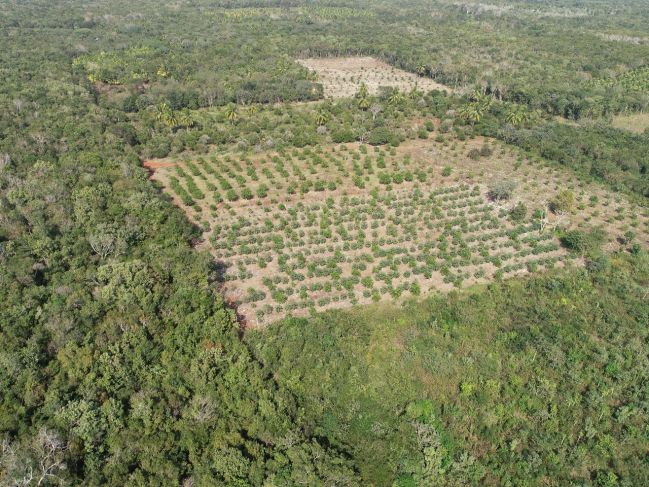 Expropia la federación nuevos predios en Bacalar y Carrillo Puerto para el Tren Maya y aeropuerto
