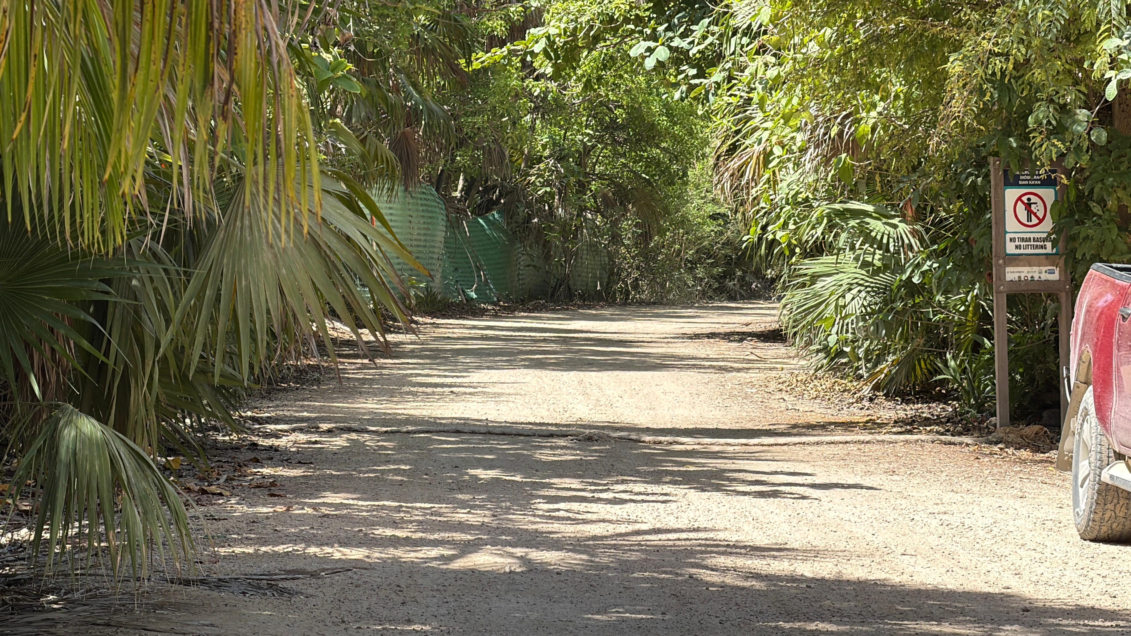Rehabilitarán 20 kilómetros adicionales del camino a Punta Allen