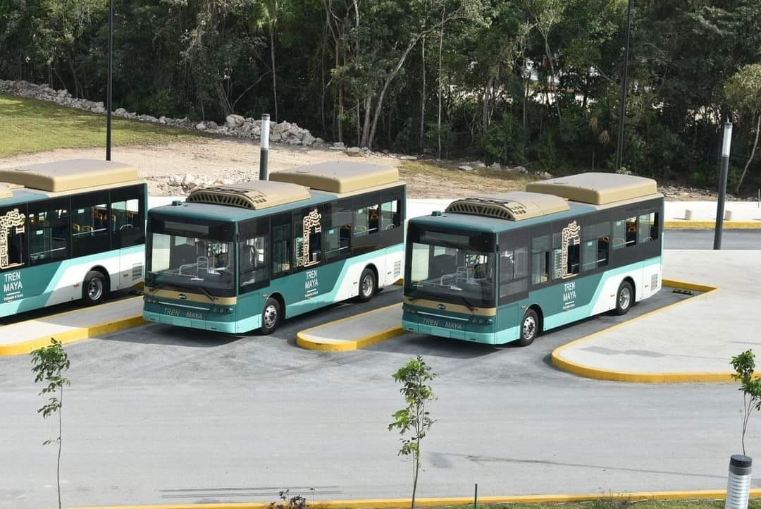 Listos para operar, los autobuses que conectarán el aeropuerto de Cancún con la terminal del Tren Maya
