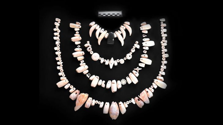 Hallan conjunto de collares de concha y colmillos de animal en el Tramo 7 del Tren Maya