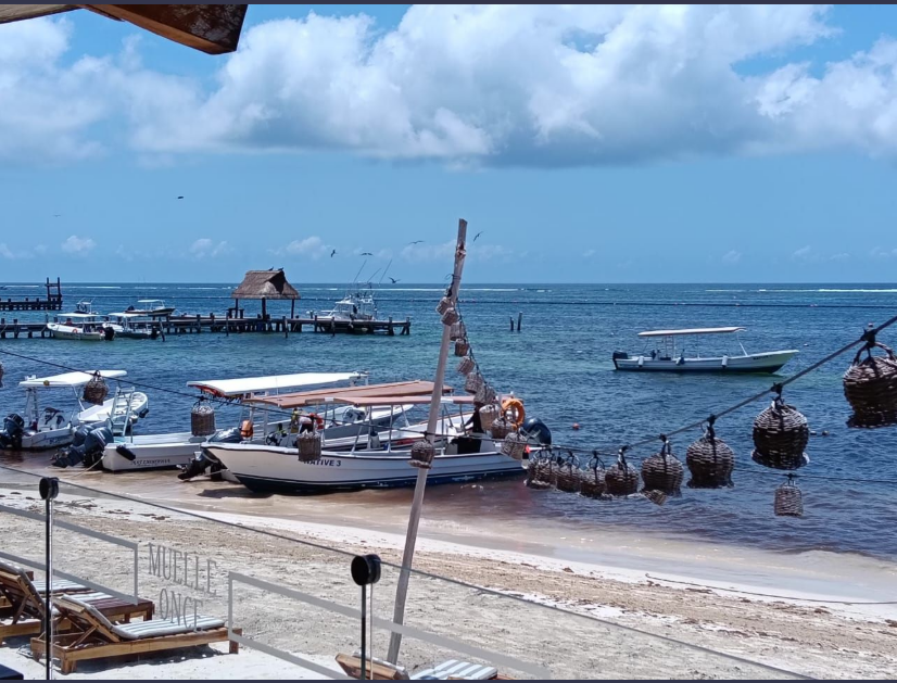 Operadores confían en recuperación del sector náutico de QRoo