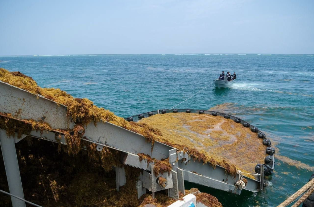 Hoteleros de Cancún descartan invertir en la recolección de sargazo en altamar; aseguran que le compete a la Federación
