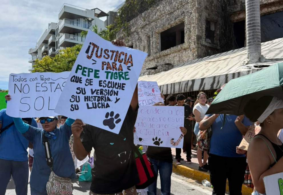 Revive la polémica de 'Pepe Tigre' en Cancún