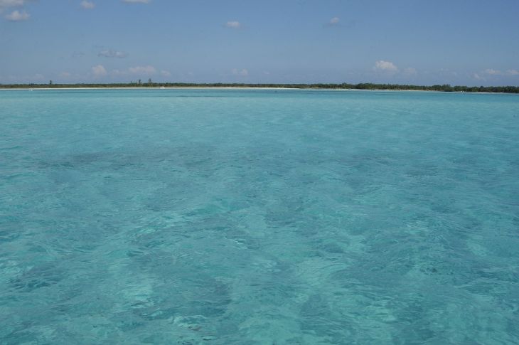 La Jornada Maya | Quintana Roo | La Jornada Maya | Arrecifes de Cozumel se  toman un descanso en diciembre