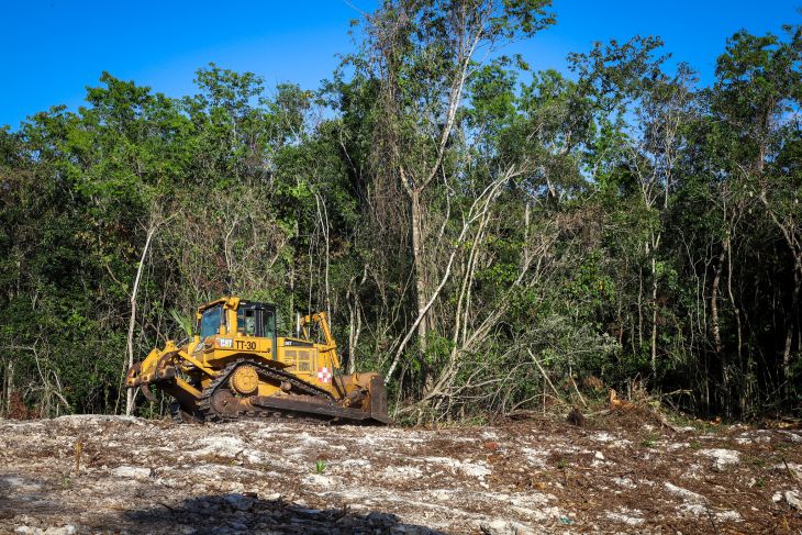 Ambientalistas proponen a la Federación eliminar los tramos 5, 6 y 7 del Tren Maya