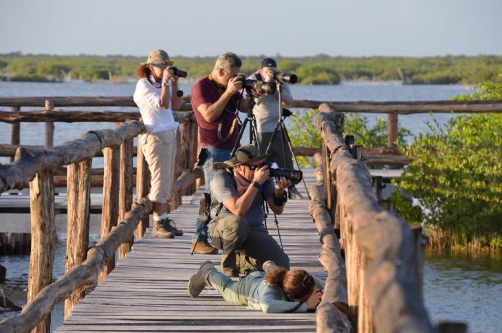 La Jornada Maya | Quintana Roo | La Jornada Maya | Cozumel, la primera  Ciudad de las Aves de Latinoamérica