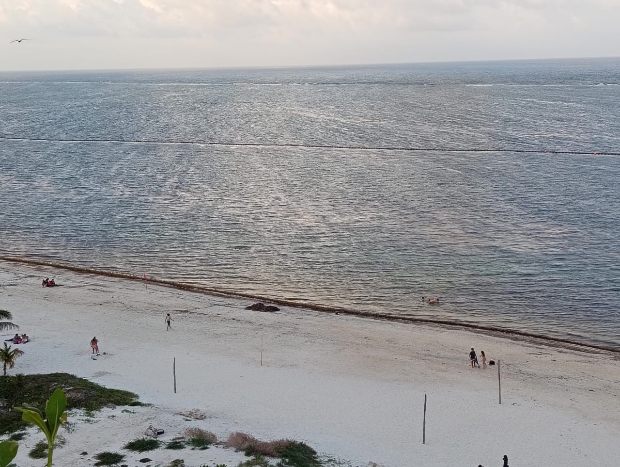 La Jornada Maya | Quintana Roo
