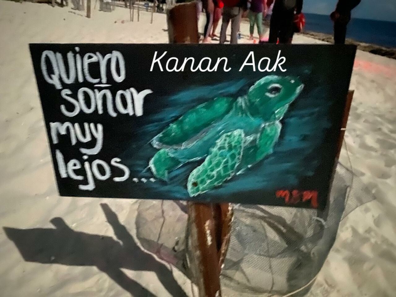 Tortugueros, guardianes incansables de las costas caribeñas