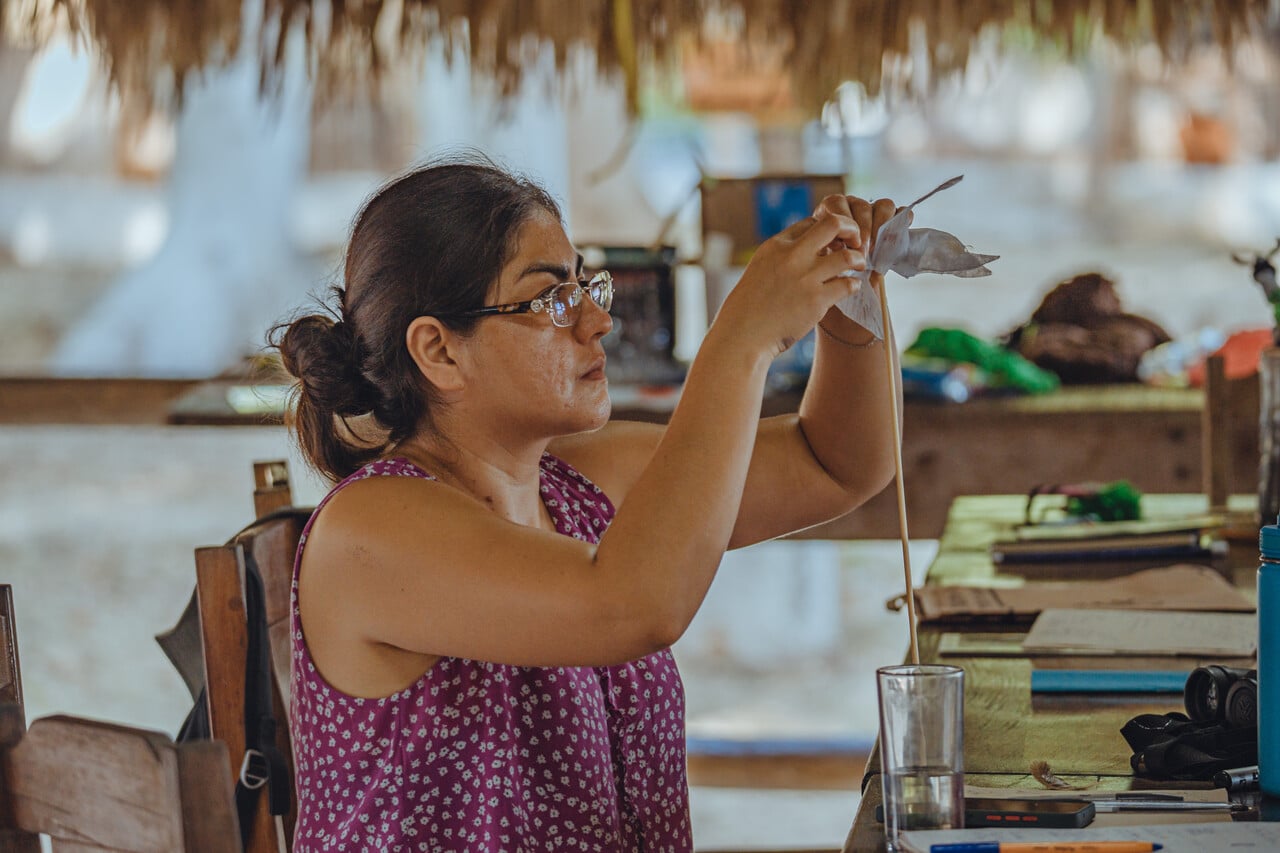 Amigos de Sian Ka’an impulsa proyectos que buscan cuidar la naturaleza y fortalecer la autonomía de comunidades