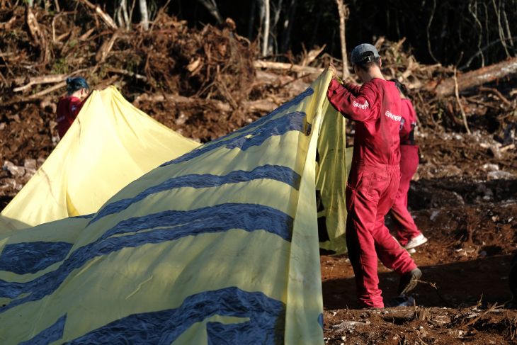 Tren Maya: Admite juez ampliación de amparo de Greenpeace para tramo 5